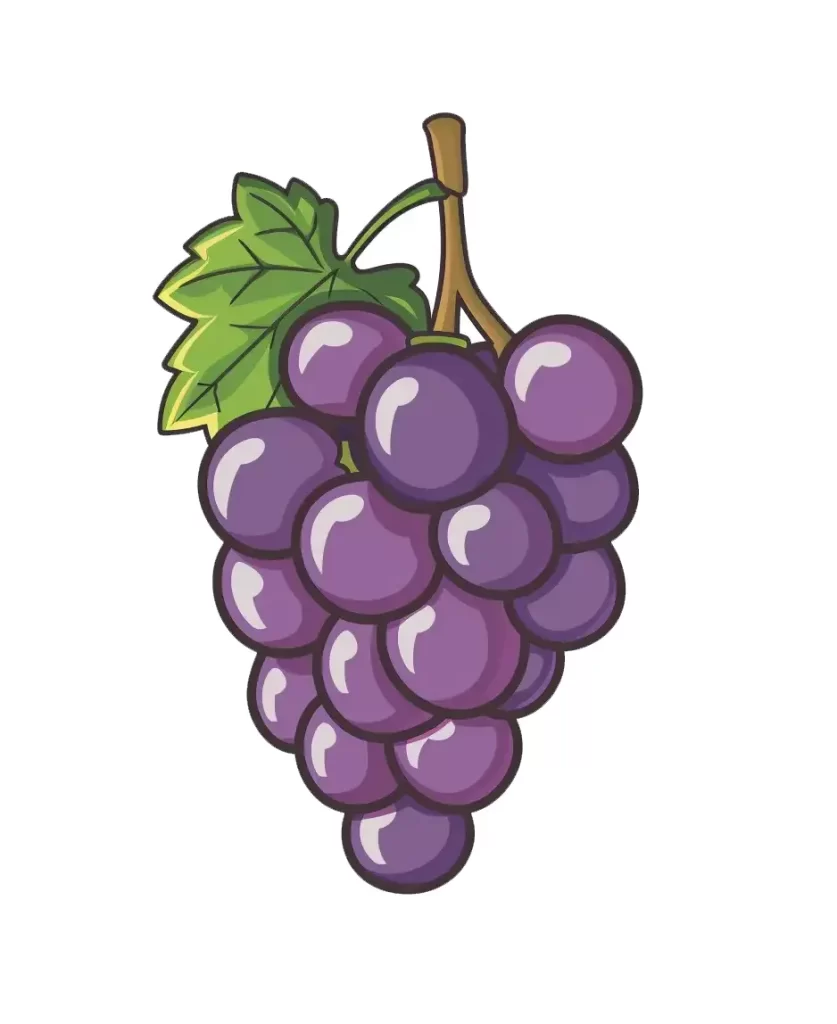 grape logo sticker vector cute line cartoon