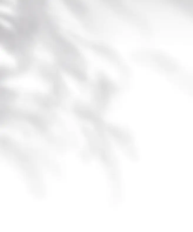 leaf leaves wall spot shadow