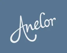 typography anelor