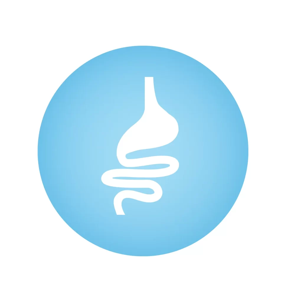 stomach intestinal tract icon vector logo