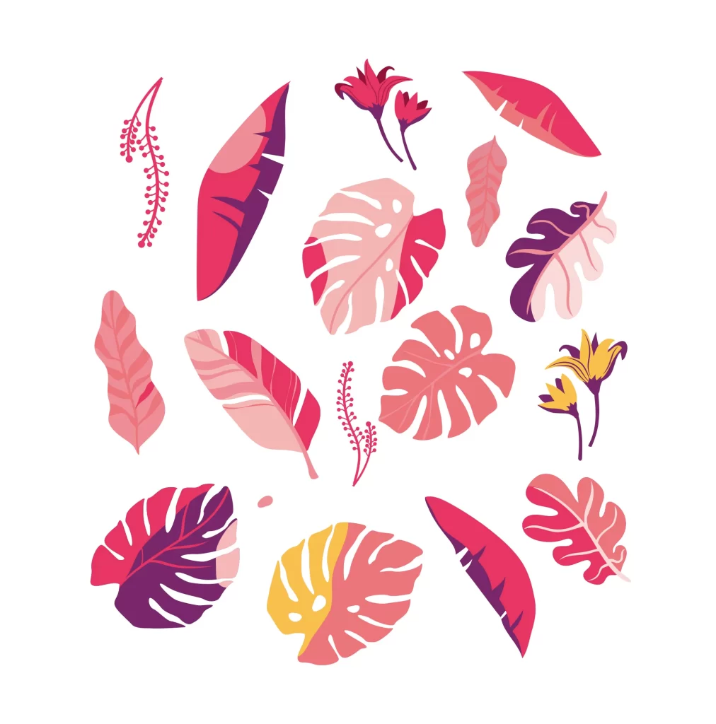 leaf leaves flower vector illustration