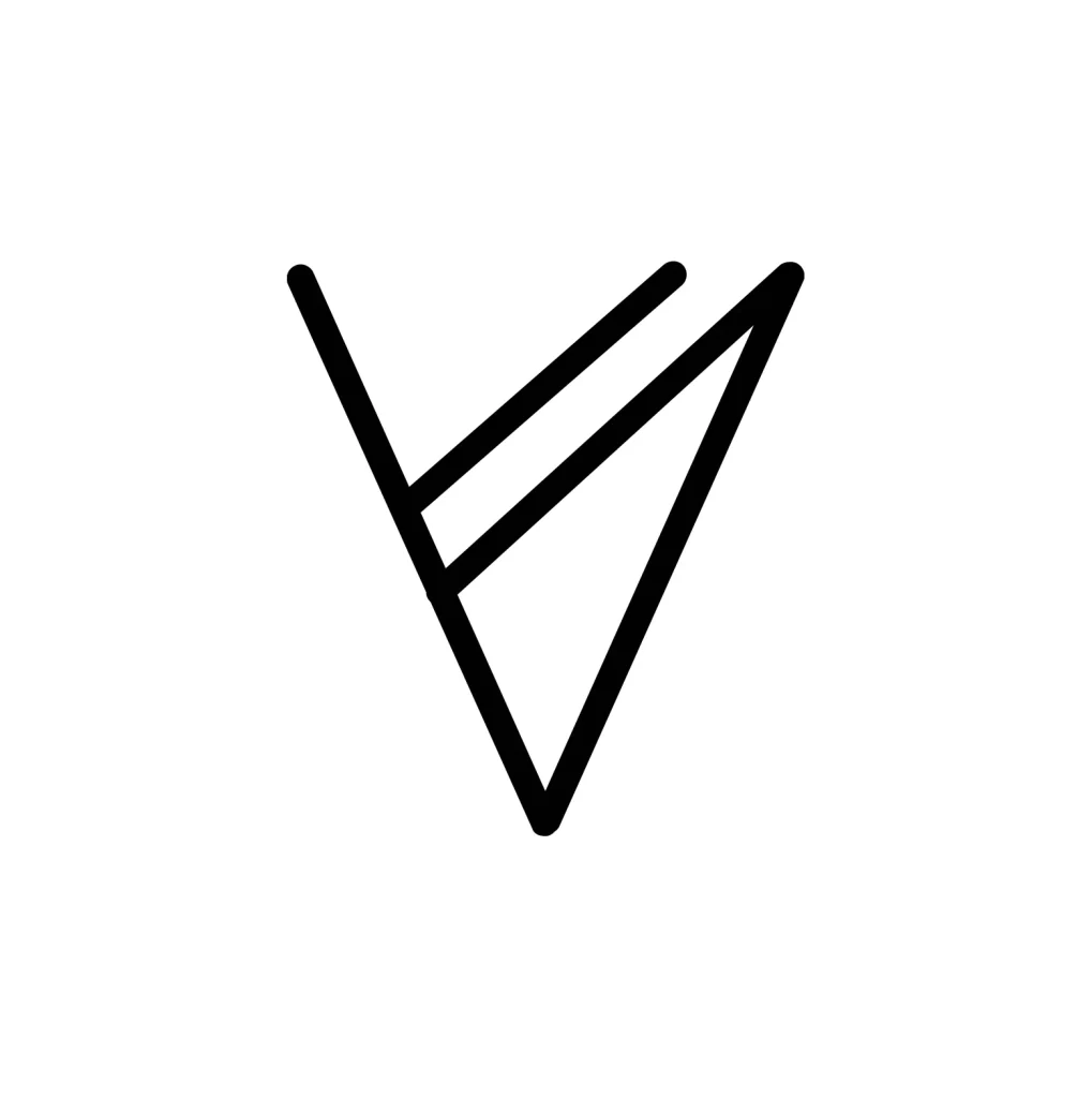 letter V vector logo