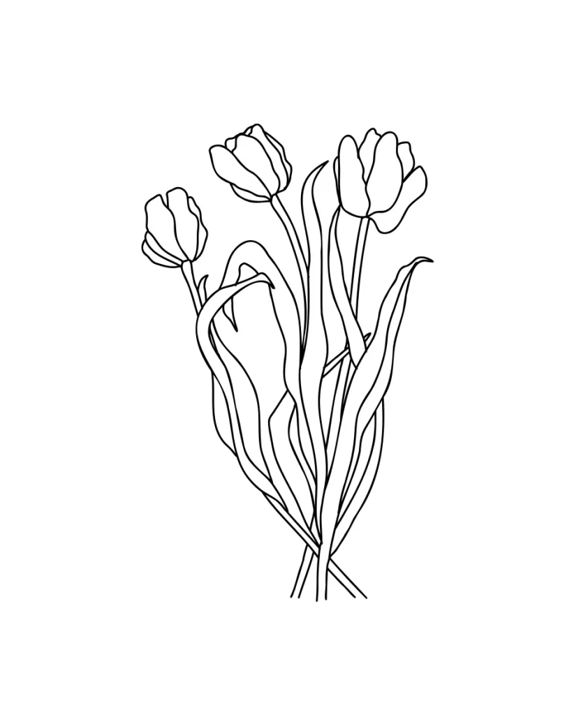 flower vector Tulip illustration lines