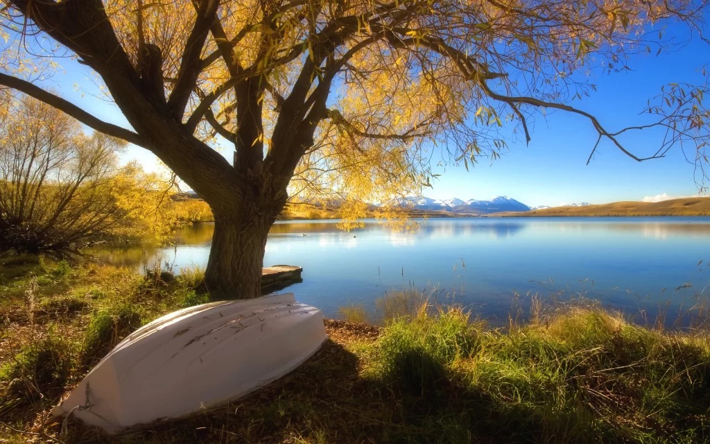 Autumn Tree Lake Mountains Boat Reflection