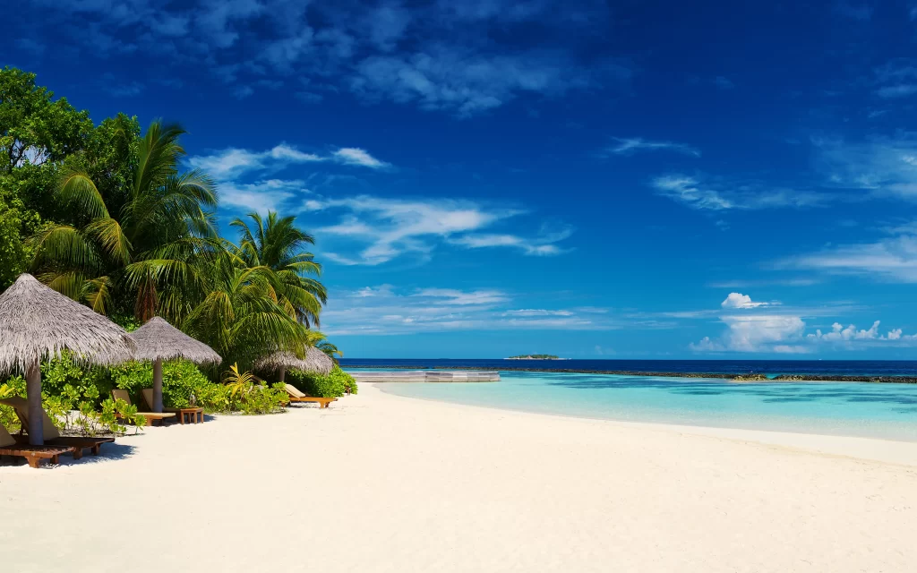 Beach Sun Sea Sky Palm Trees Lounge Chairs