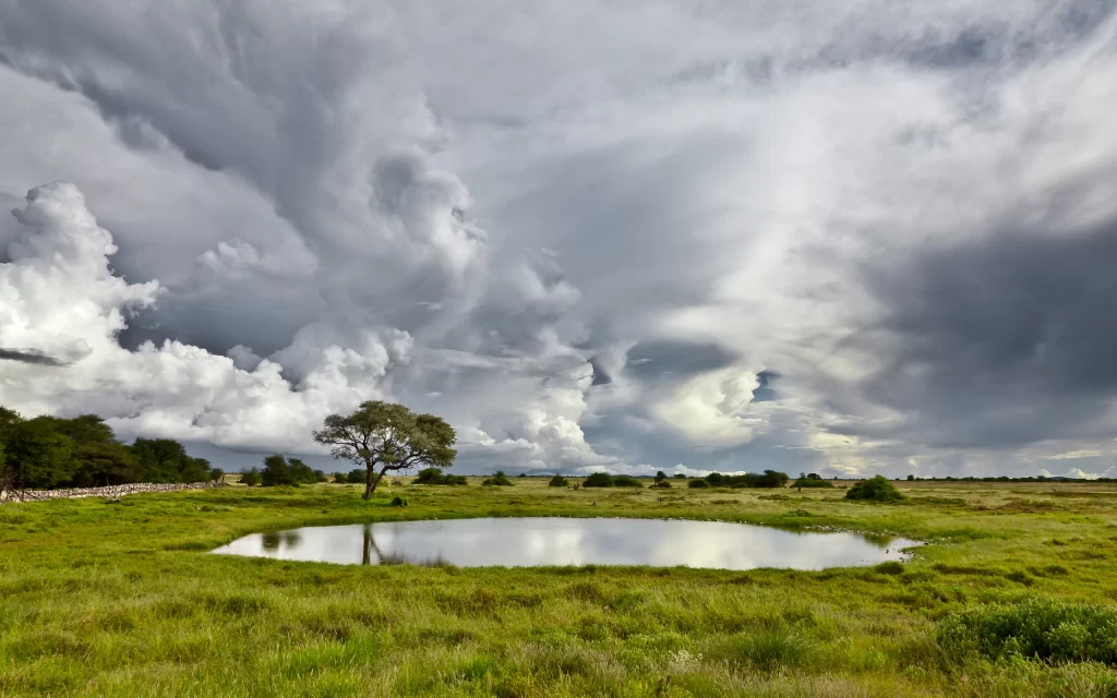 Clouds Pond Tree Grass Sky