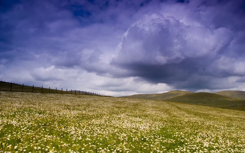 Cloudy Sky Meadow Wildflowers Hills Fence