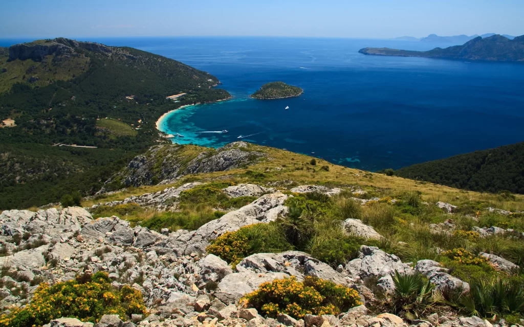 Coastal Landscape Rocky Terrain Clear Blue Water Greenery Scenic