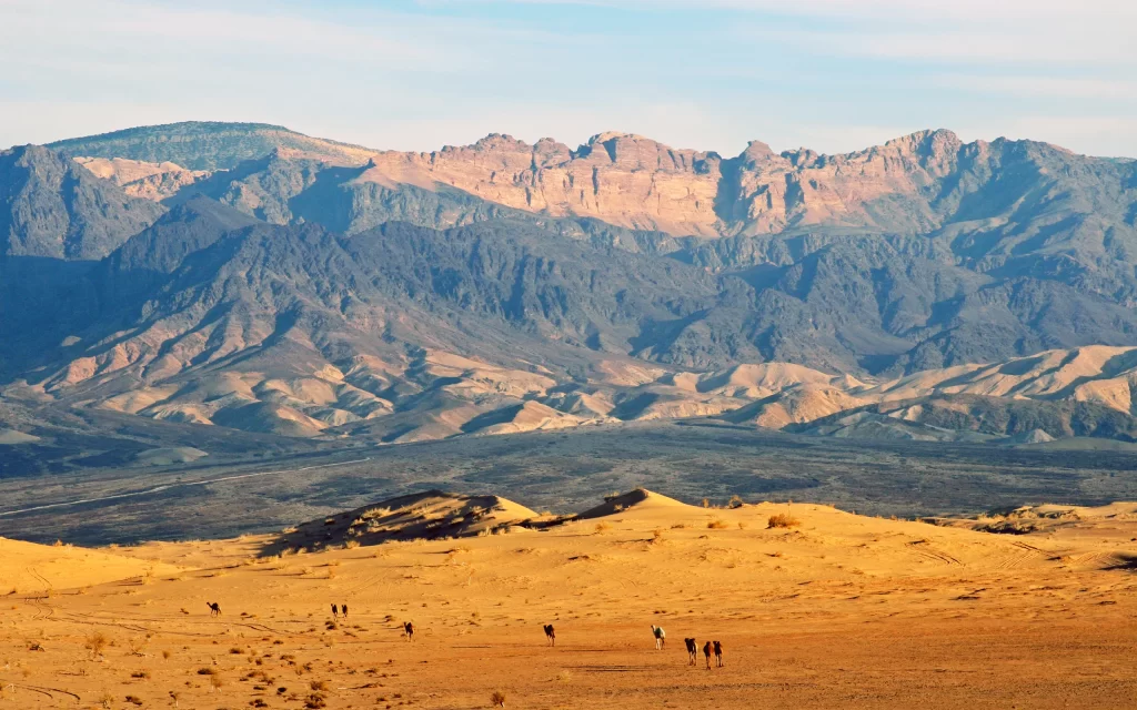 Desert Camel Mountains Sand Dunes Scenic