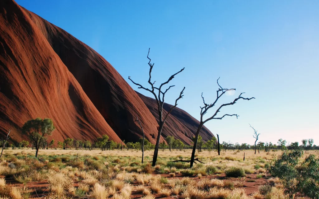 Desert Red Rock Trees Dry Grass Blue Sky