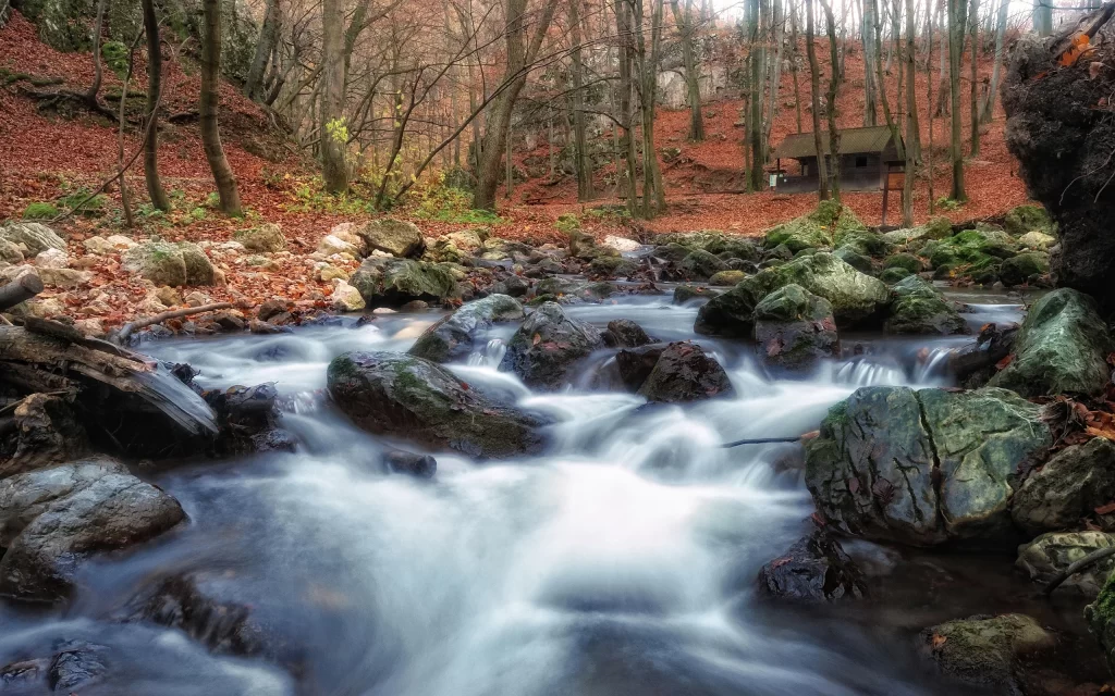 Flowing Stream Rocks Autumn Forest Cabin Nature