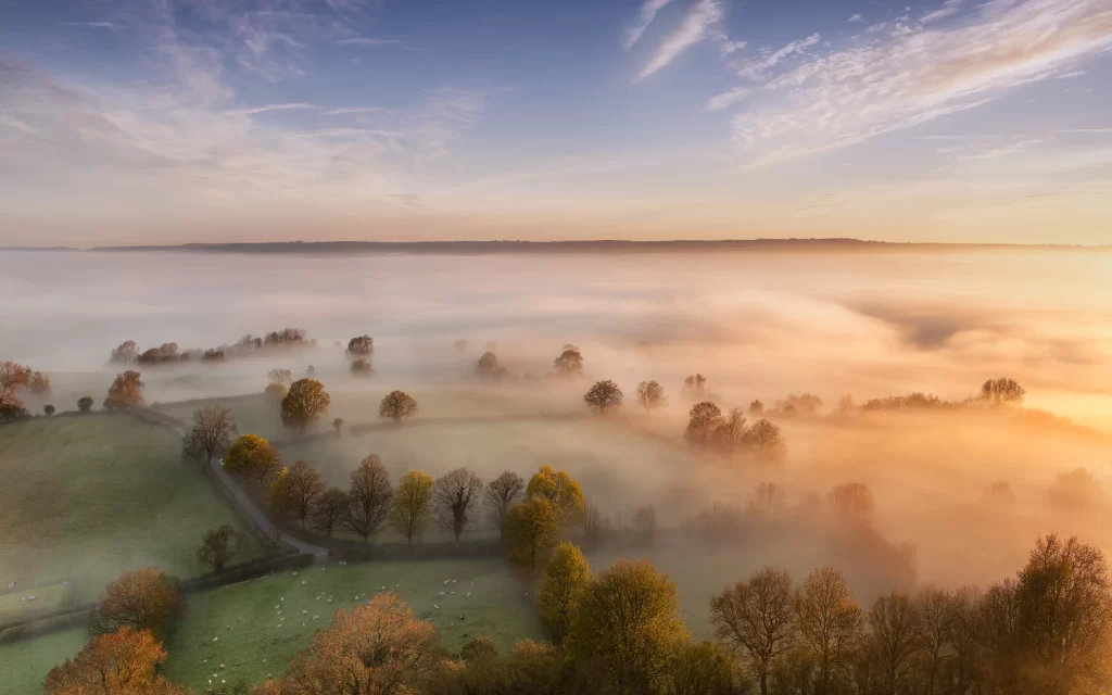 Foggy Landscape Trees Sunrise Mist Autumn