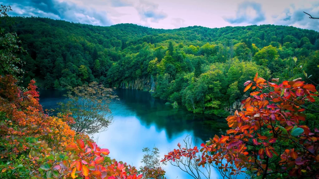 Autumn, lake, forest, trees, colorful, nature
