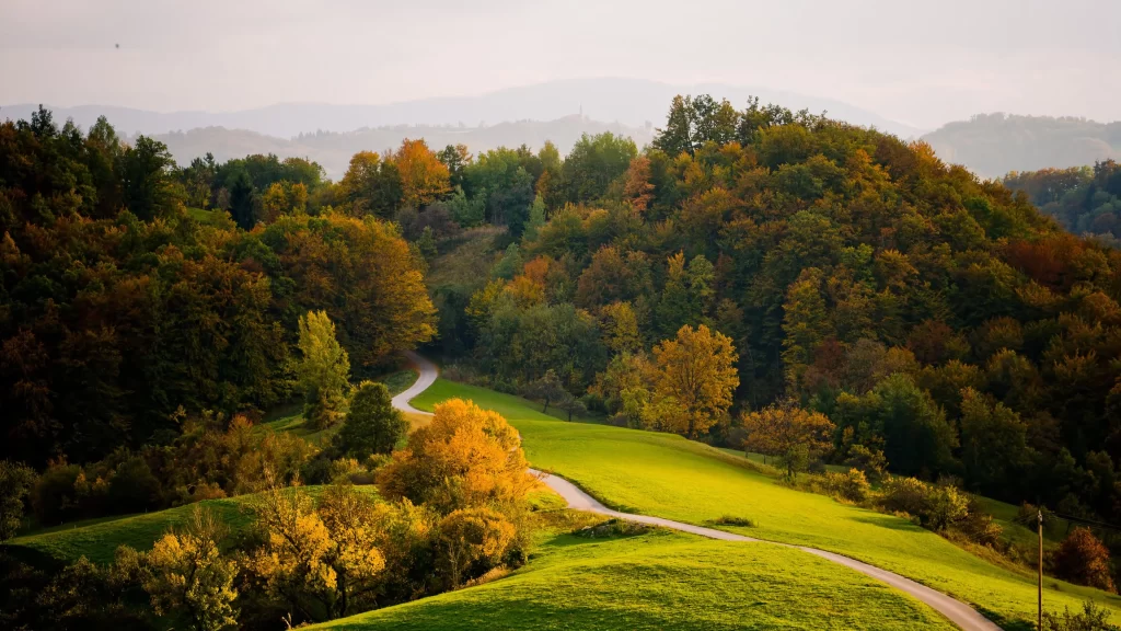 Autumn landscape trees path hills nature