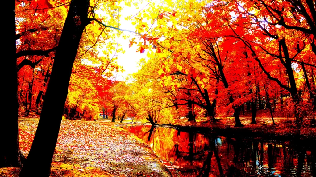 Autumn leaves colorful trees reflection serene nature tranquility sunlight vibra