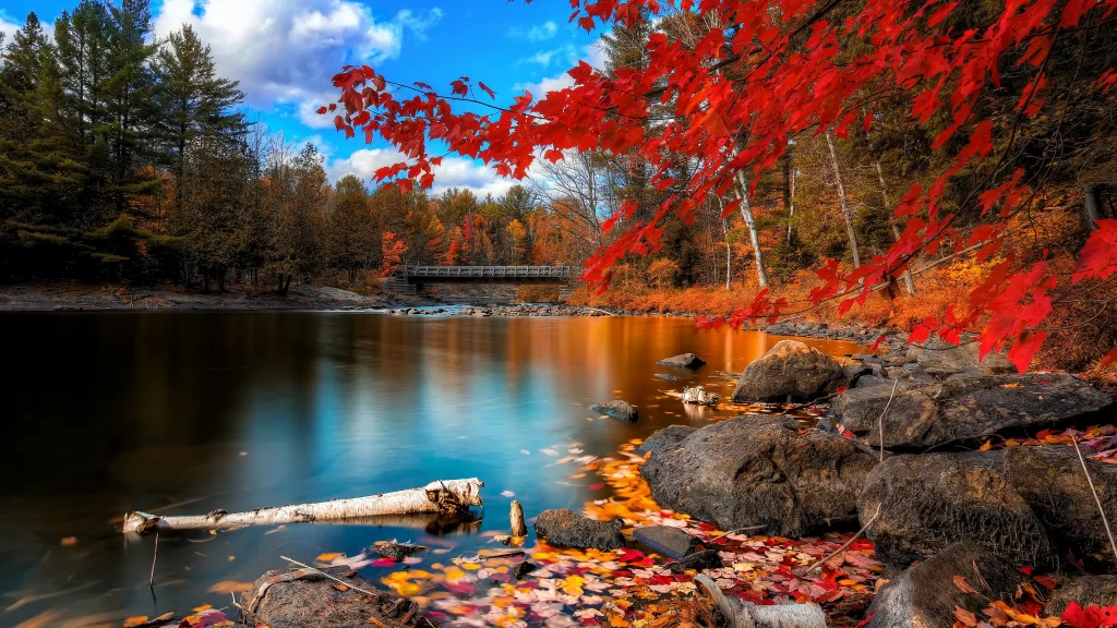 Autumn leaves lake bridge trees rocks reflection sky clouds