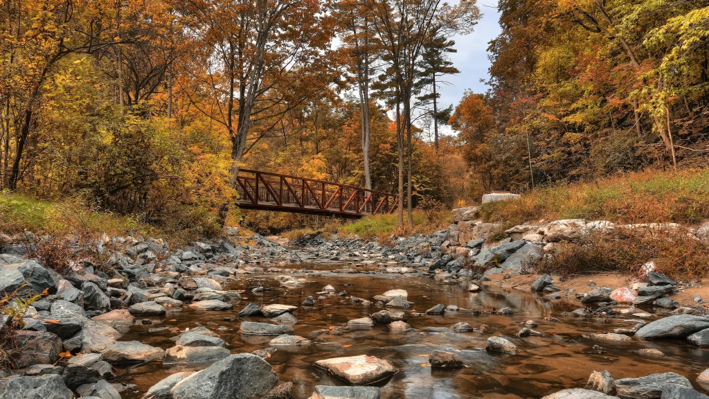 Autumn leaves wooden bridge stream rocks trees forest