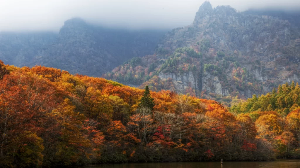 Autumn mountains trees fog lake colors