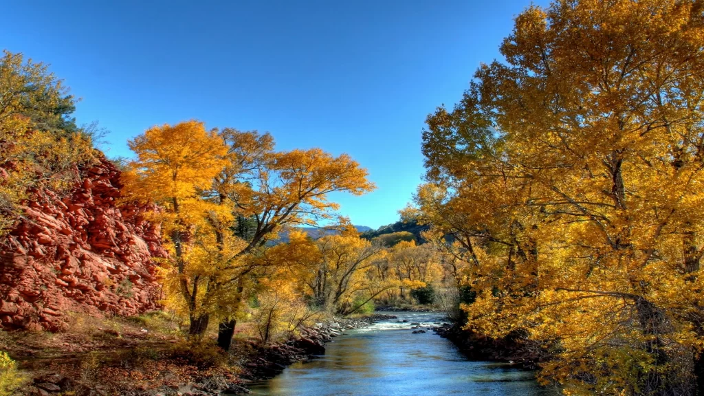 Autumn river trees foliage landscape nature