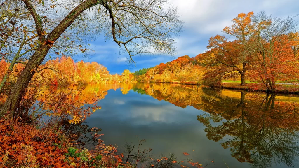 Autumn trees reflection lake colors sky clouds nature
