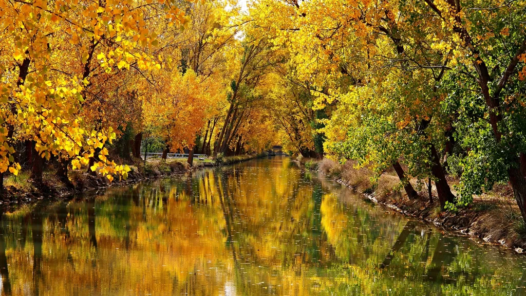 Autumn trees river reflection leaves colors nature scenery