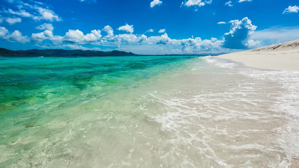 Beach Ocean Waves Clear Sky Blue Water Sandy Shore