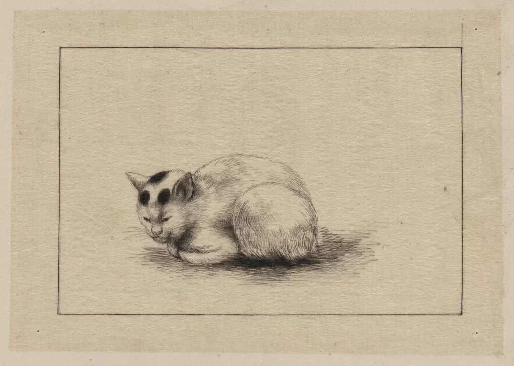 Cat Curled Sleeping Sketch Vintage Peaceful