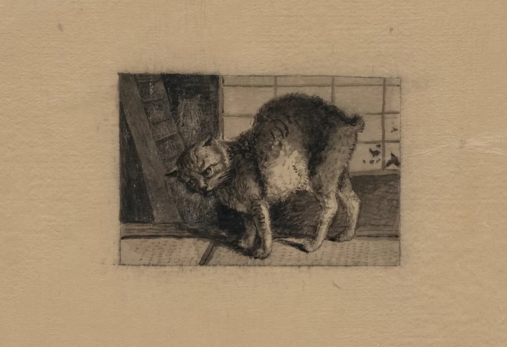Cat Vintage Illustration Curious Window Interior