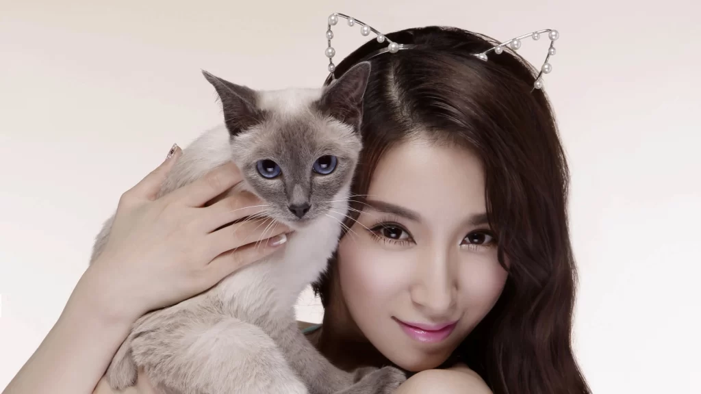 Cat, woman, headband, blue eyes, soft, affectionate