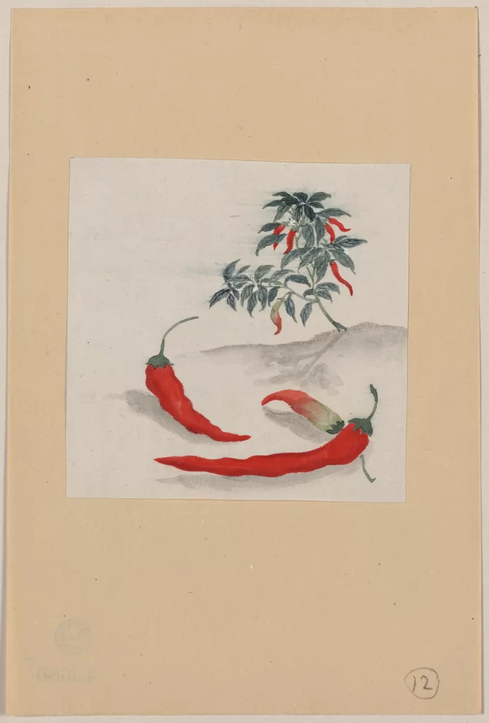 Chili Peppers Plant Leaves Red Green Art