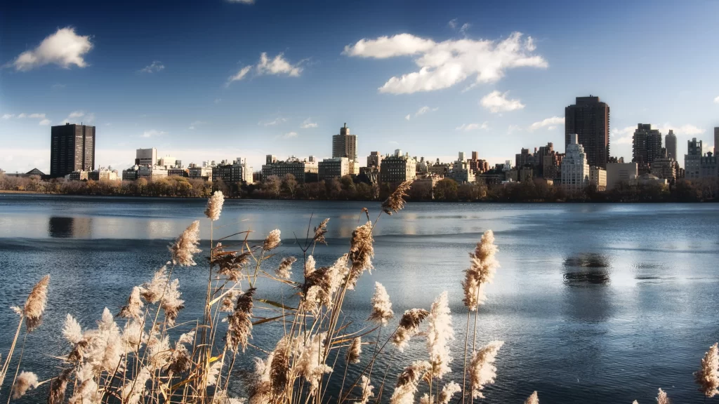 City skyline water reeds blue sky clouds reflection