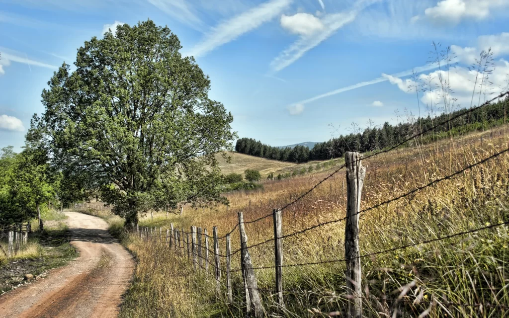 Country Road Fence Tree Field Sky Clouds