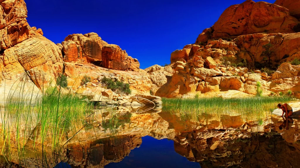 Desert Oasis Rock Formations Clear Water Reflection Blue Sky Greenery