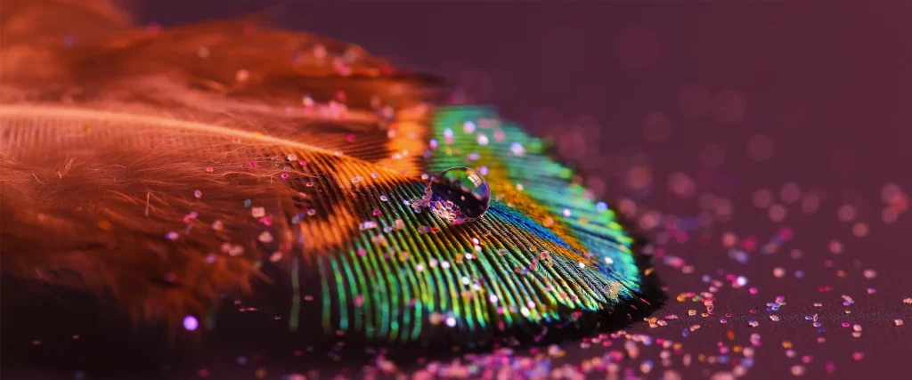 Feather, water droplet, glitter, iridescent, colorful, texture