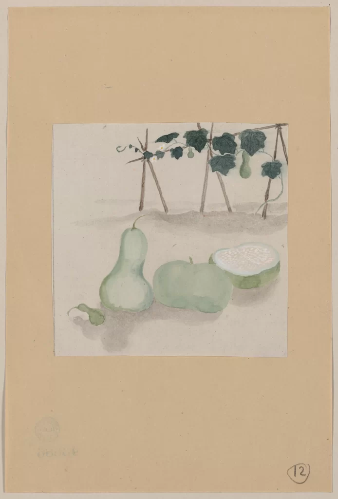 Gourds Leaves Vine Watercolor Still Life Art