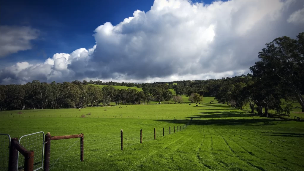 Grass trees sky clouds fence landscape