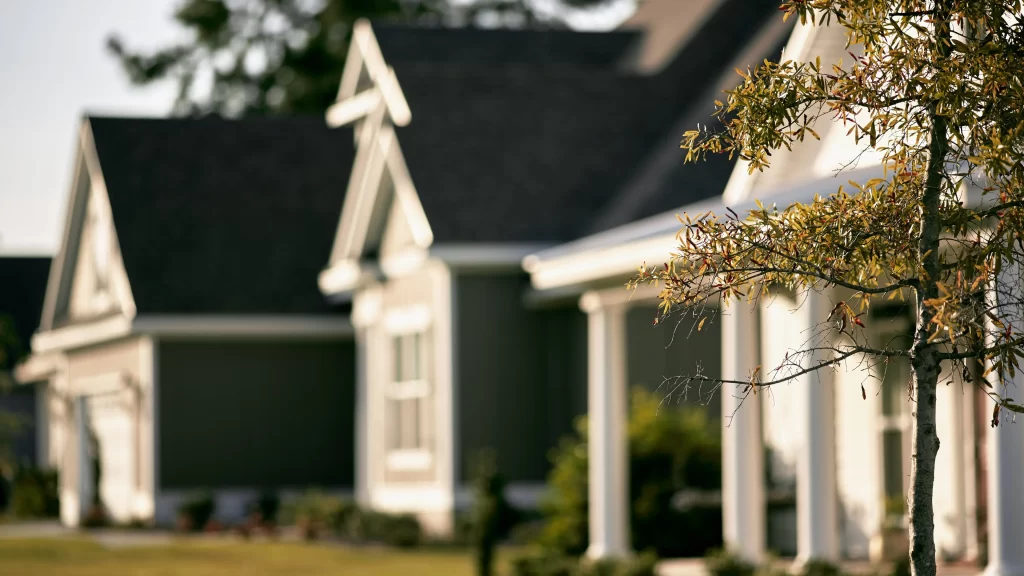 Houses trees windows roofs lawns sunlight