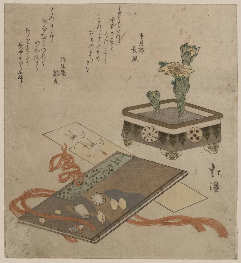 Japanese Art Cactus Flowers Scrolls Calligraphy