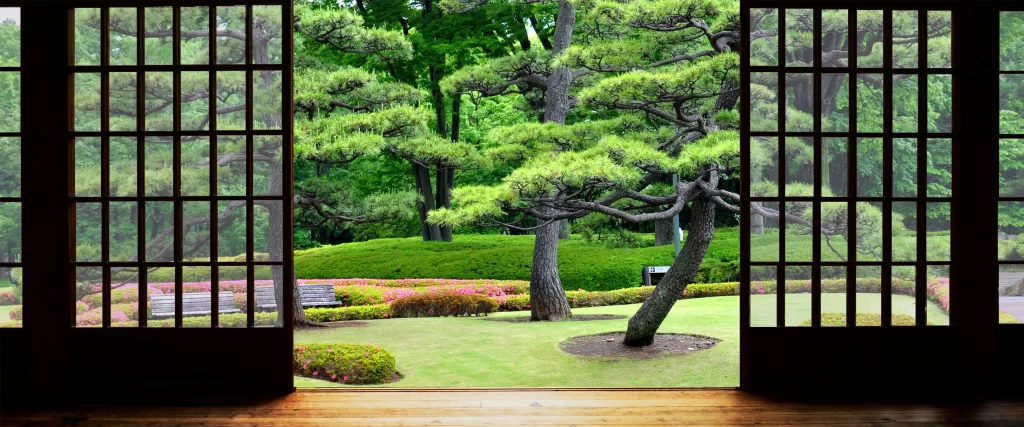 Japanese garden, greenery, traditional, serene, nature, view