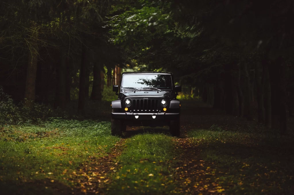 Jeep forest trees grass leaves headlights