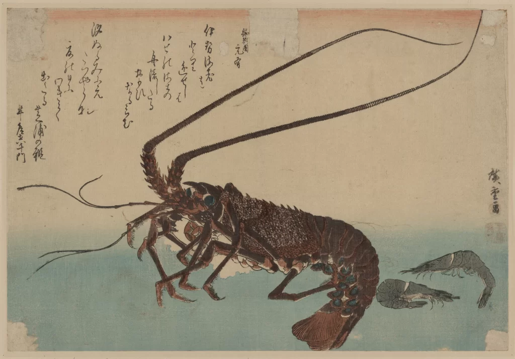 Lobster Japanese Art Blue Background Ink Wash Shrimp
