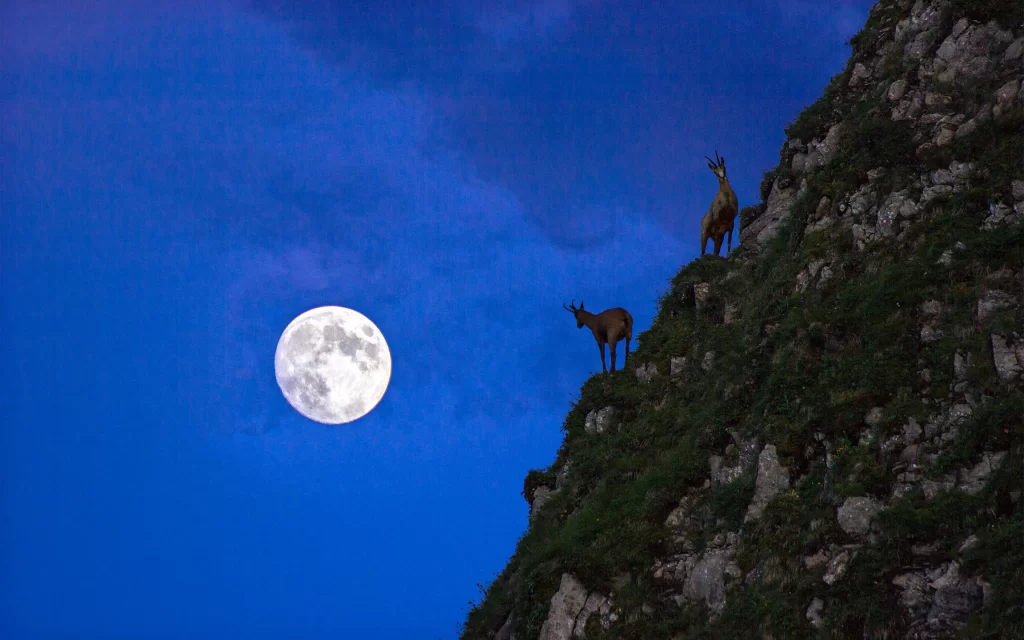 Moon Mountain Goats Twilight Rocks Blue Sky