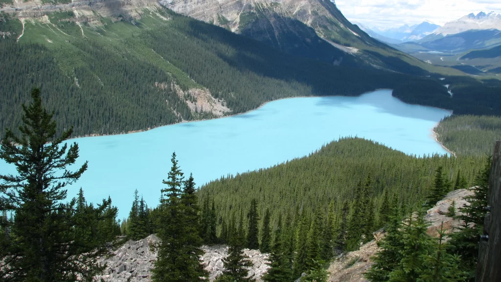 Mountain Lake Forest Water Blue Sky