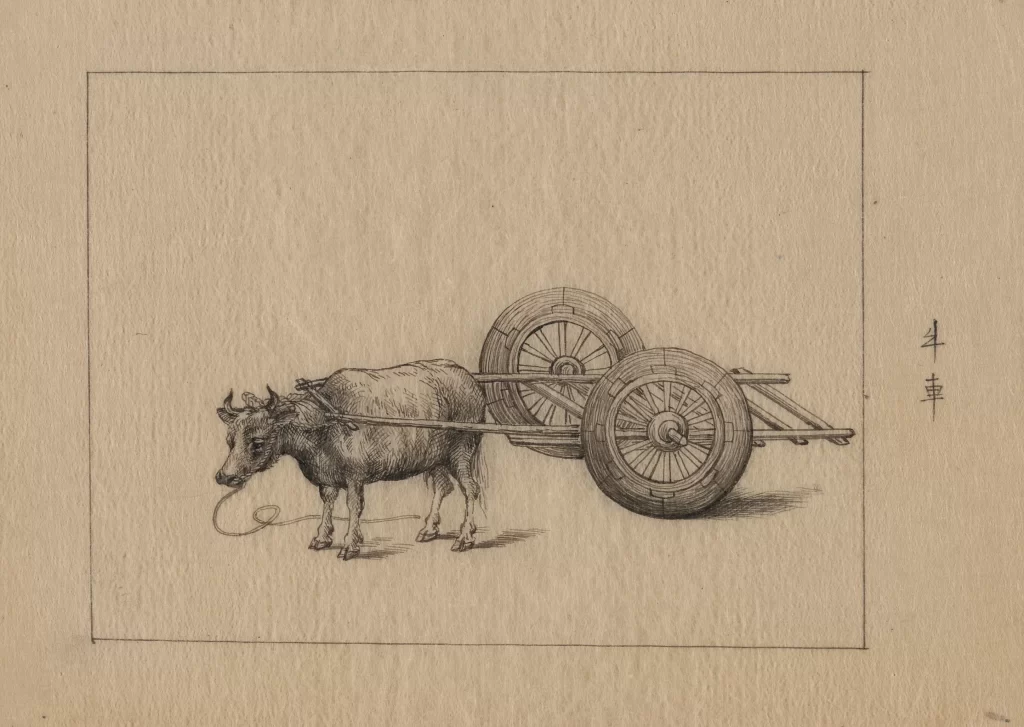 Ox Cart Wheels Rope Traditional Illustration