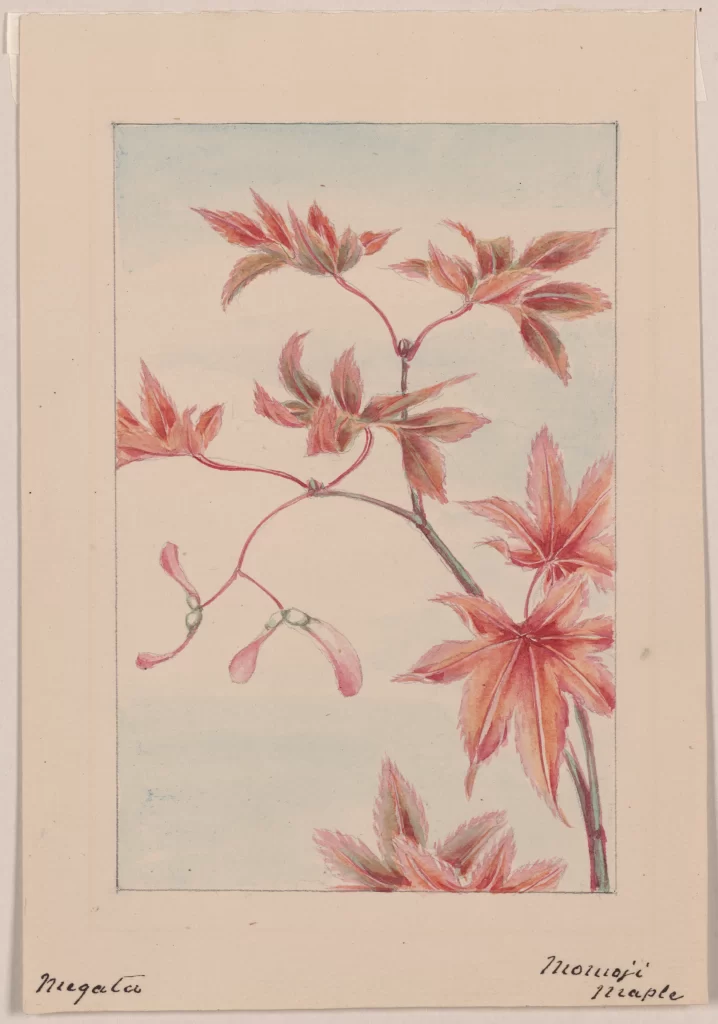 Red Leaves Branch Watercolor Botanical Nature Art