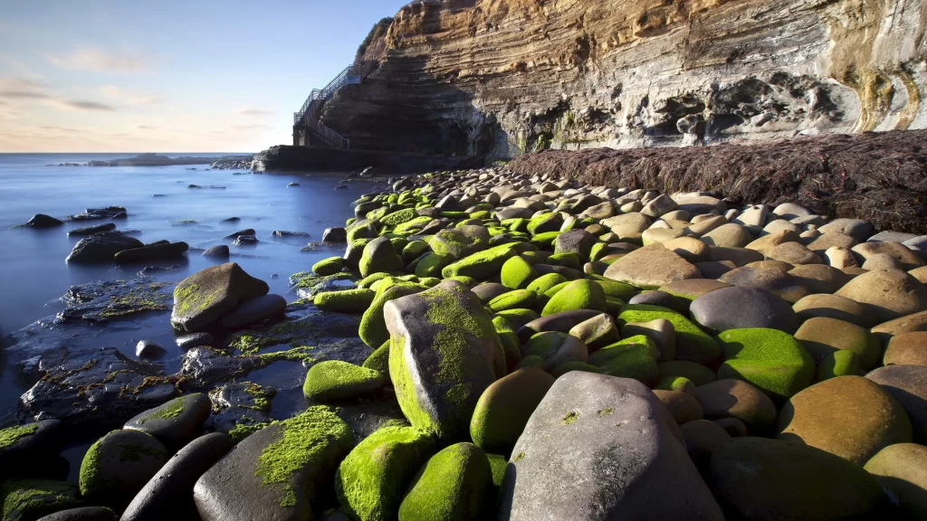 Rocks ocean cliffs moss sunlight waves