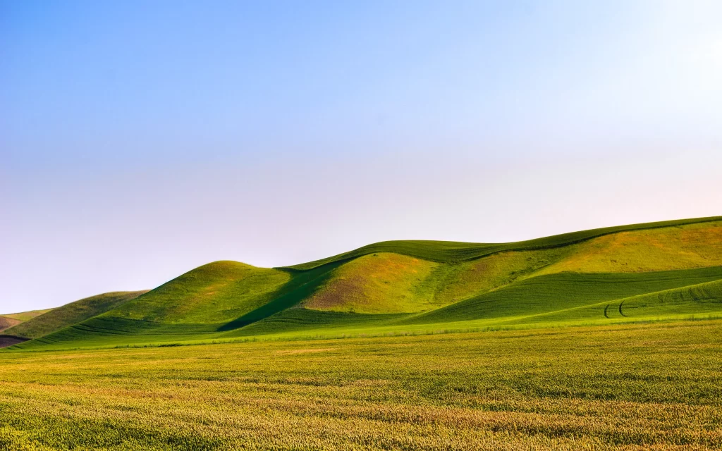 Rolling Hills Green Grass Blue Sky Sunlight Tranquil