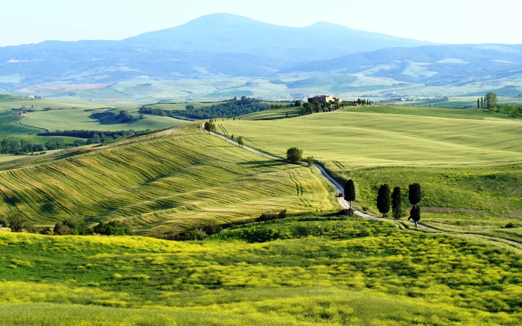 Rolling hills Green fields Pathway Trees Scenic landscape