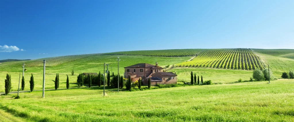 Rural landscape, green fields, house, trees, clear sky, vineyard