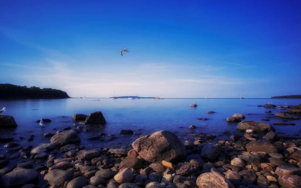 Seagull Rocks Calm Water Boats Horizon Blue Sky